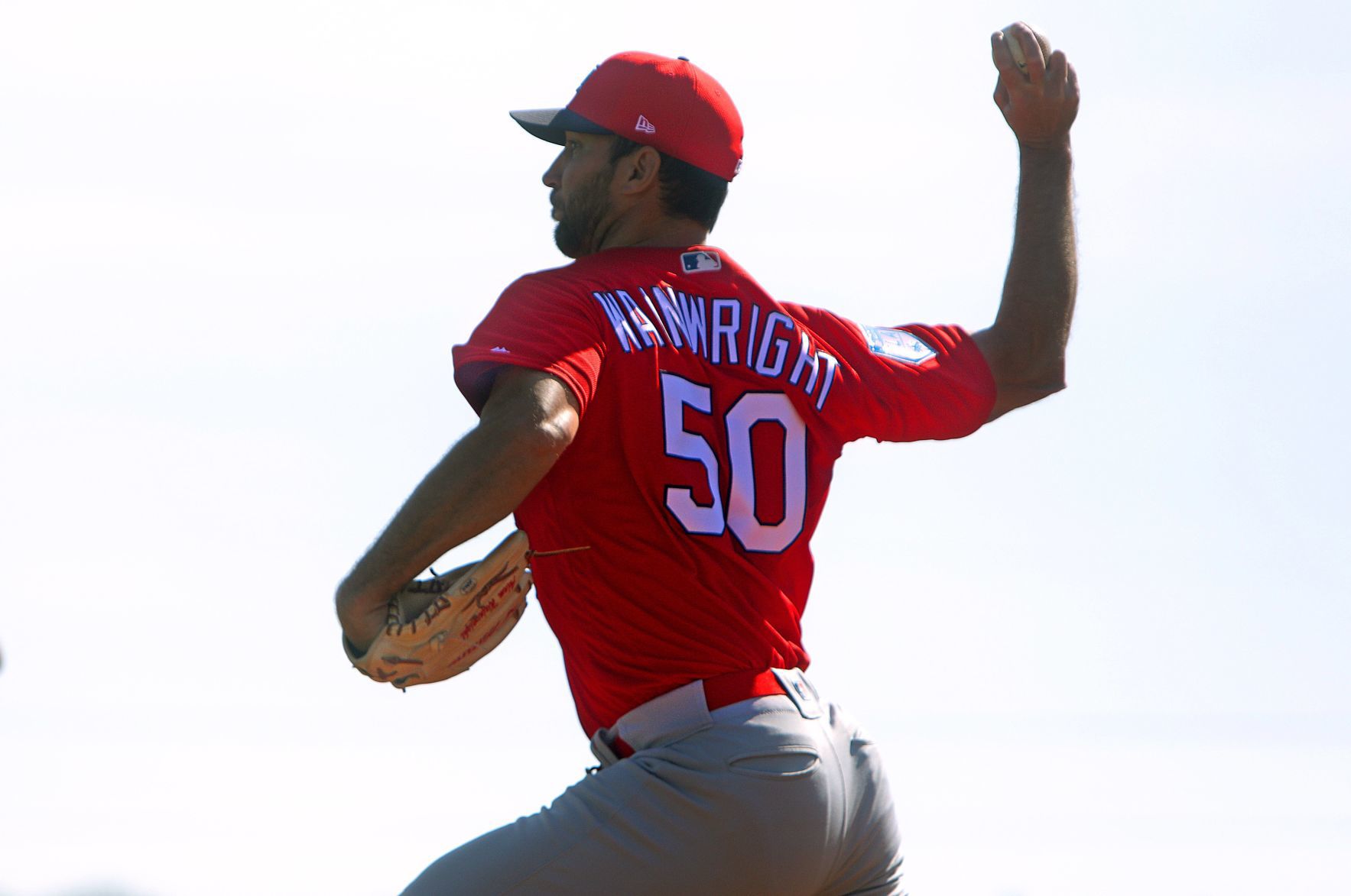 2019 Cardinals spring training